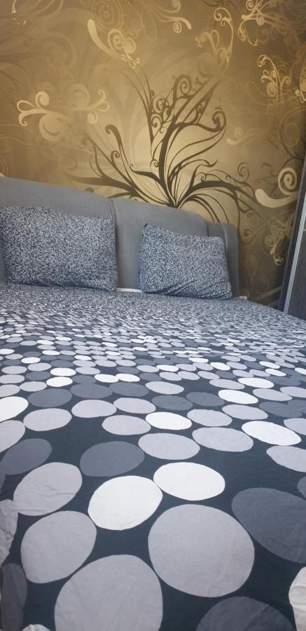 Apartament Modern Piteszti Zewnętrze zdjęcie